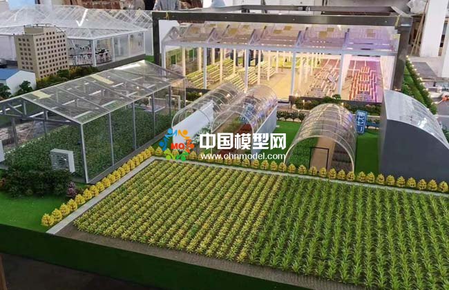  農(nóng)業(yè)大棚模型，畜牧養(yǎng)殖沙盤模型