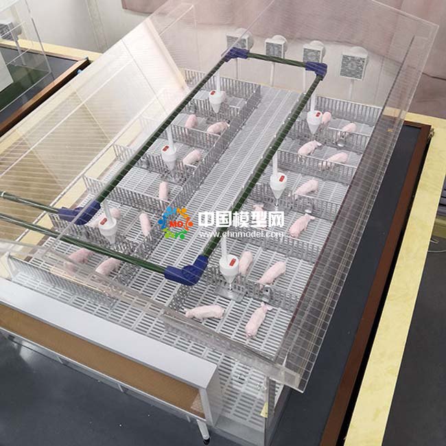 養(yǎng)豬場(chǎng)沙盤模型