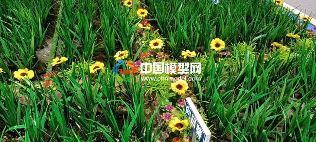 茭白產(chǎn)業(yè)種植基地沙盤模型