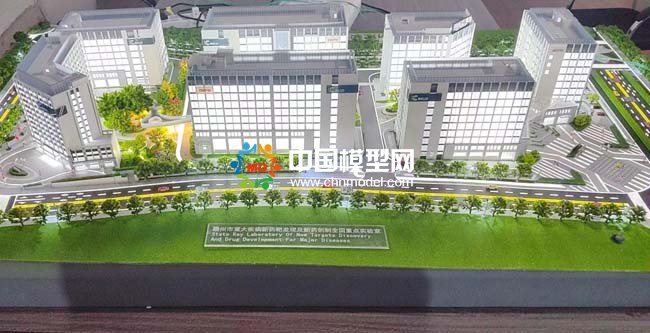 重大疾病新藥靶發(fā)現(xiàn)及新藥創(chuàng)制全國重點(diǎn)實(shí)驗(yàn)室沙盤模型