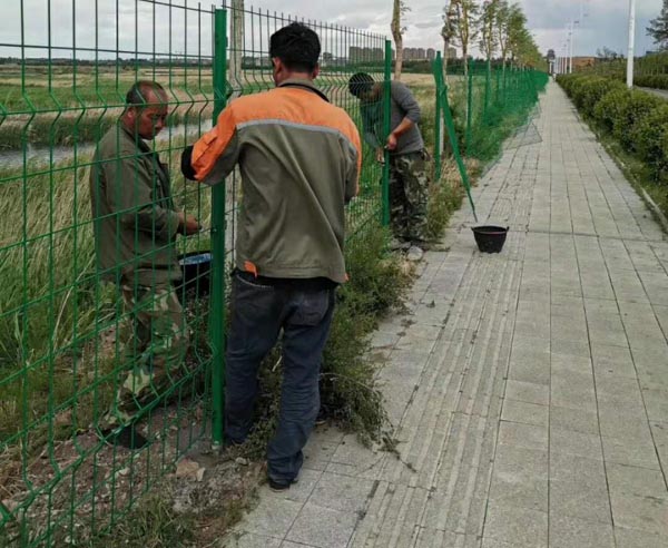 �p߅�z�o�ھW(w��ng)�r��