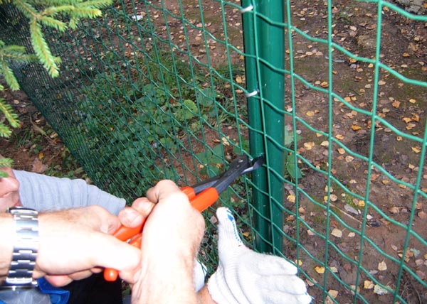 �Ͼ��o(h��)�ھW(w��ng)