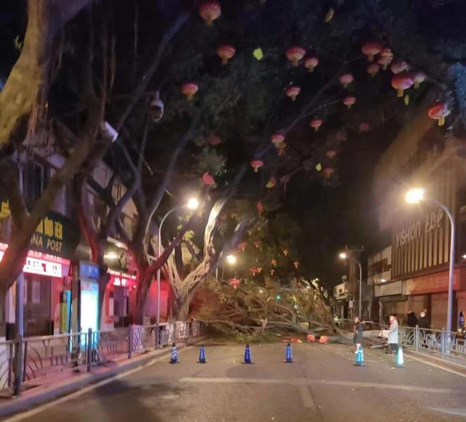 ��·�o(h��)�ھW(w��ng)�r��