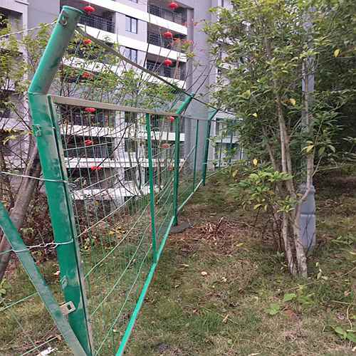 ����o(h��)�ھW(w��ng)