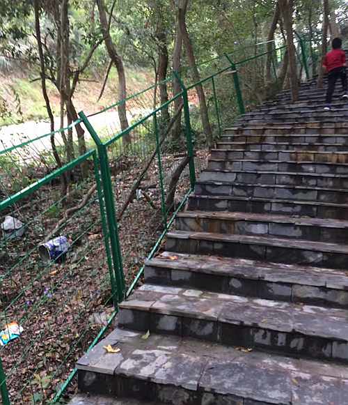 ����o�ھW(w��ng)